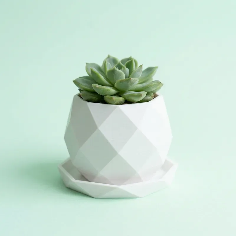 Maceta blanca geométrica facetada con una suculenta verde y platito a juego